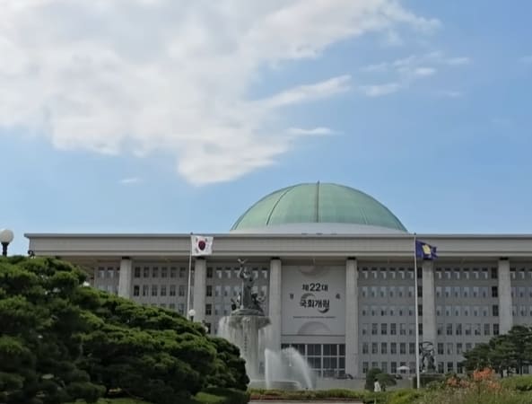 국회의사당 한강공원 피크닉