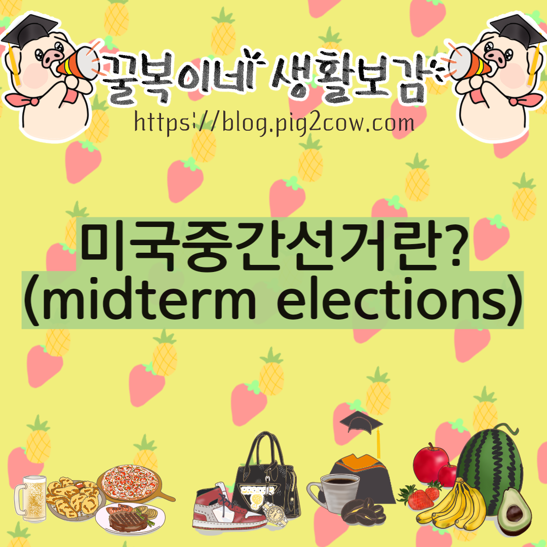  미국중간선거(Midterm elections)