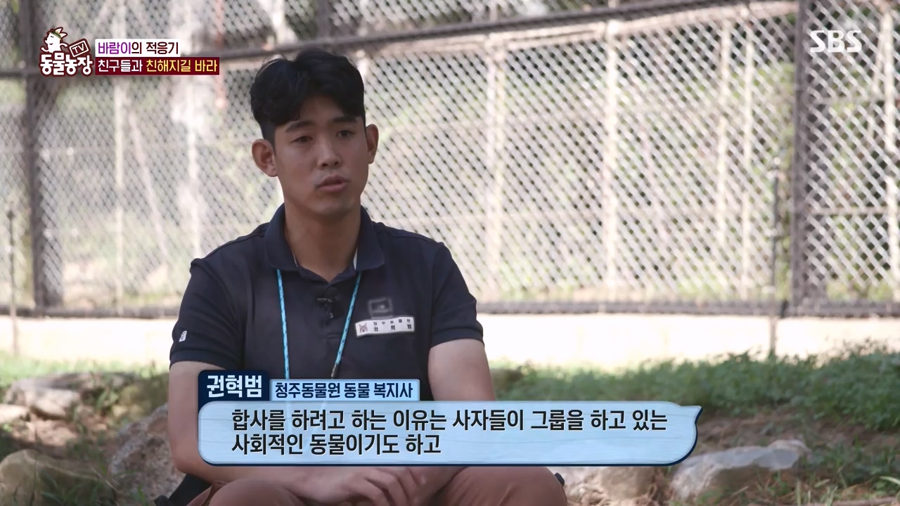 TV 동물농장.E1140.231009p-NEXT.mp4_20231008_174827.544.jpg
