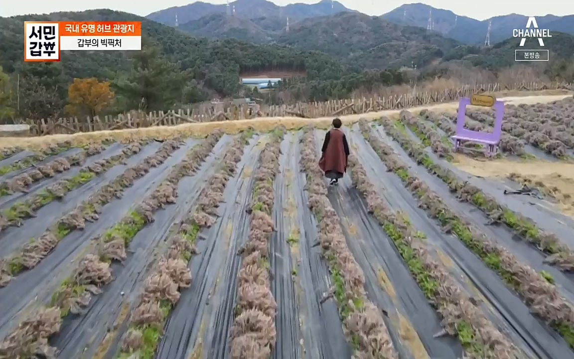 서민 갑부.E380.220424p-NEXT.mp4_20220424_184345.118.jpg