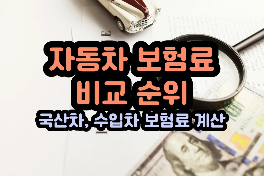 자동차 보험 비교 순위