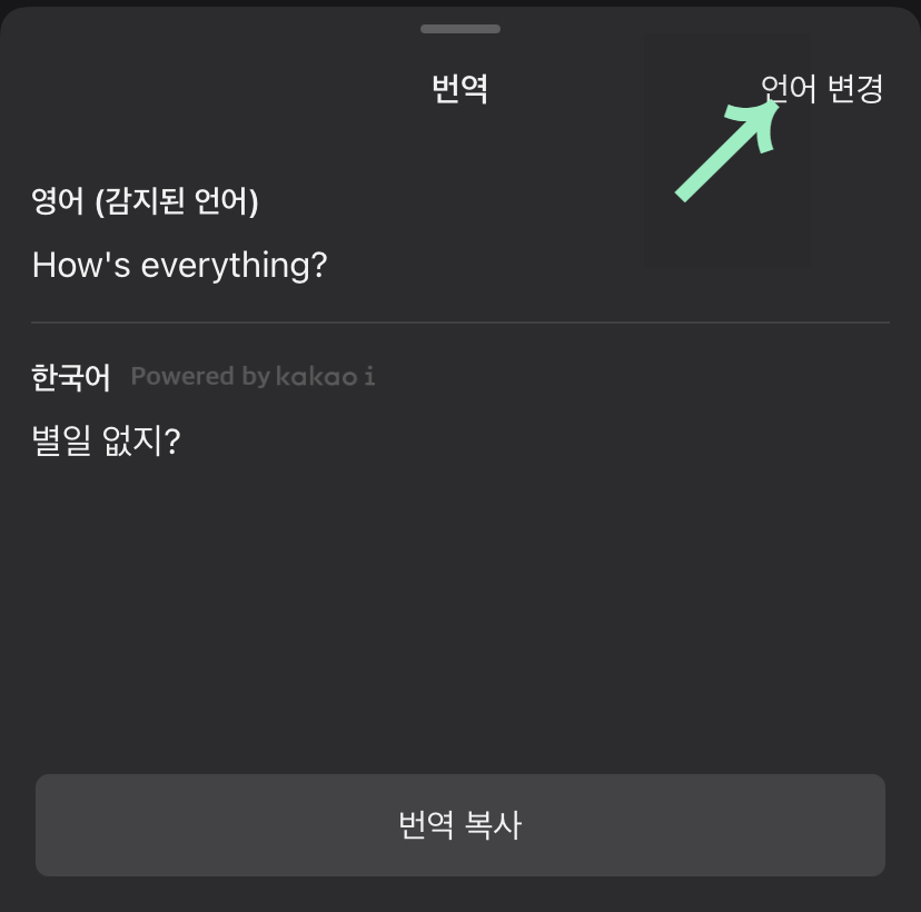 번역된 언어