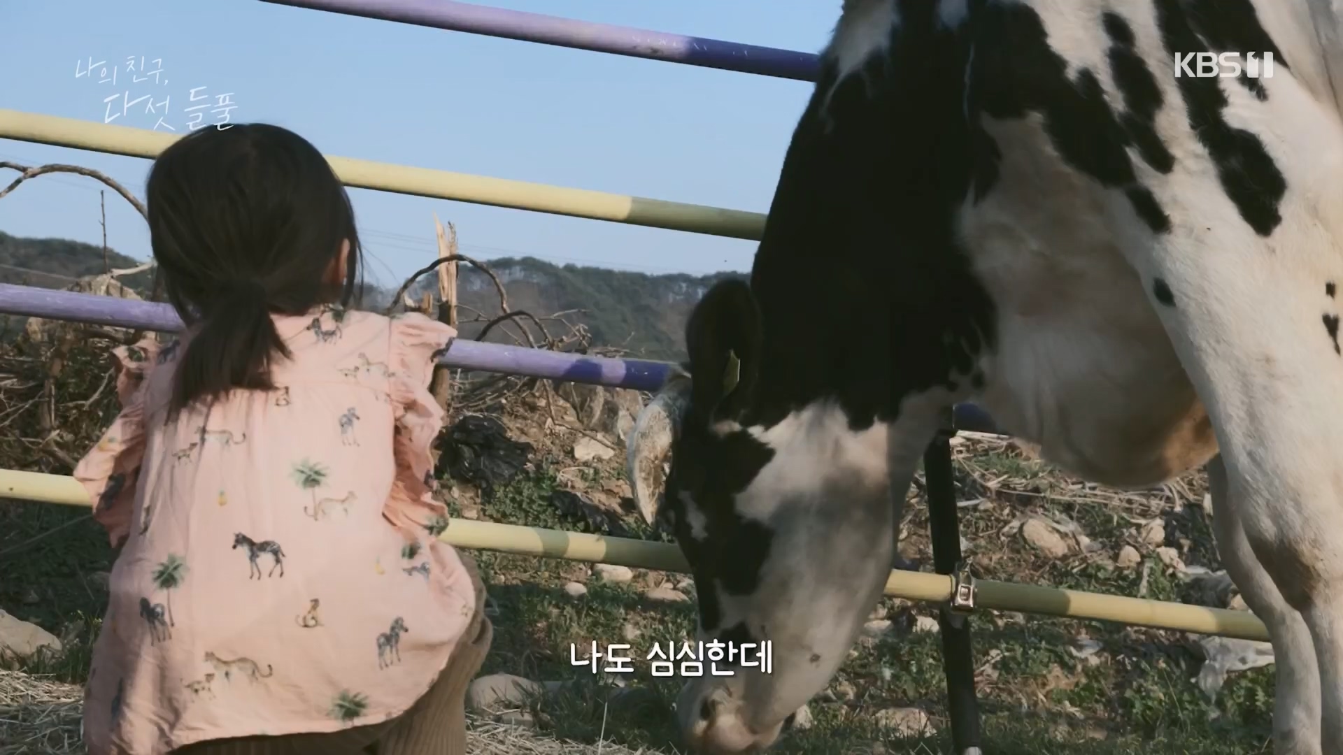 특집 다큐 나의 친구, 다섯 들풀.240119p.H264-F1RST.mp4_20240121_151733.544.jpg