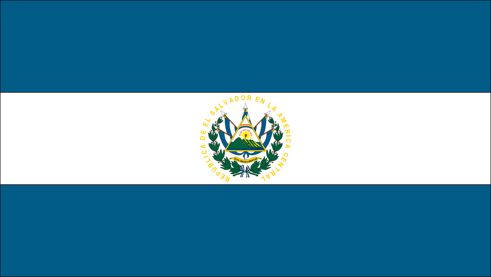  El Salvador bought 24.2 billion won worth of bitcoin the day before the introduction of bitcoin fiat currency