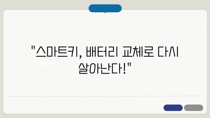 배터리 교체 시 주의 사항