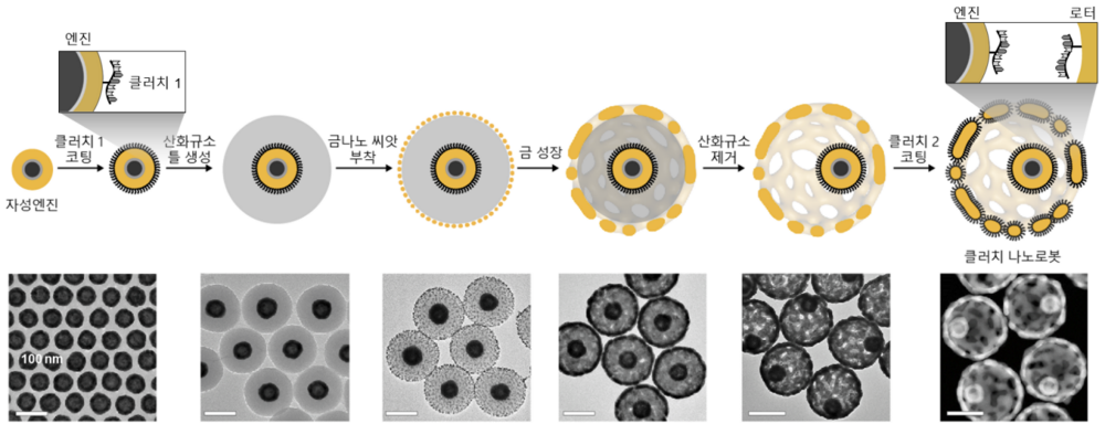 클러치 나노로봇의 합성 과정