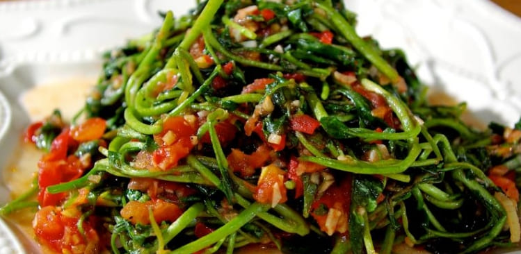  CDC가 선정한 지구상에서 가장 건강한 채소 CDC declares: This is the healthiest veggie on Earth