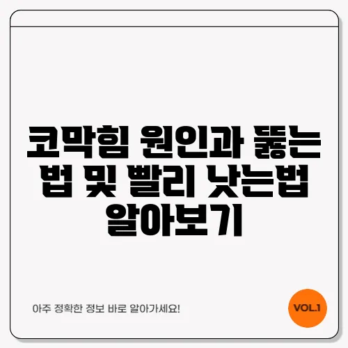 코막힘 원인과 뚫는 법 및 빨리 낫는법 알아보기