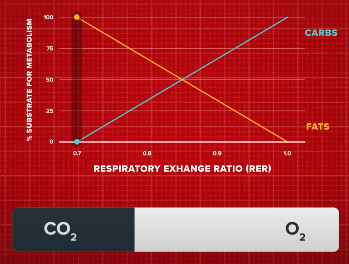 Substrate for metabolism(신진대사 기질)&#44; Respiratory Exchange Ratio 호흡교환비율(RER)&#44; CARBS 탄수화물&#44; FATS 지방