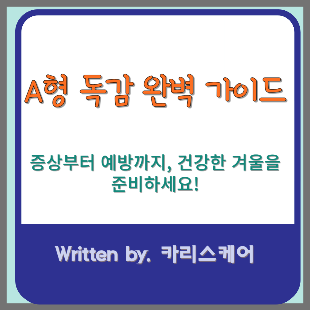A형 독감 가이드