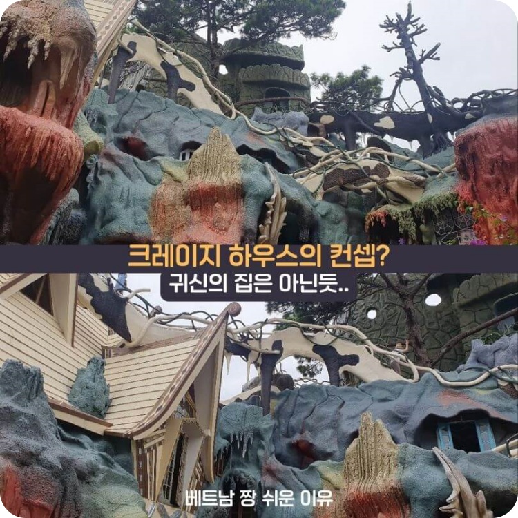 크레이지하우스의_컨셉