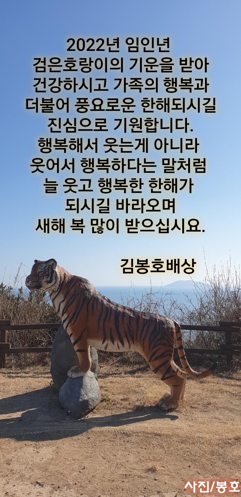  청산도 겨울은 어머니 품같이 따뜻해다.