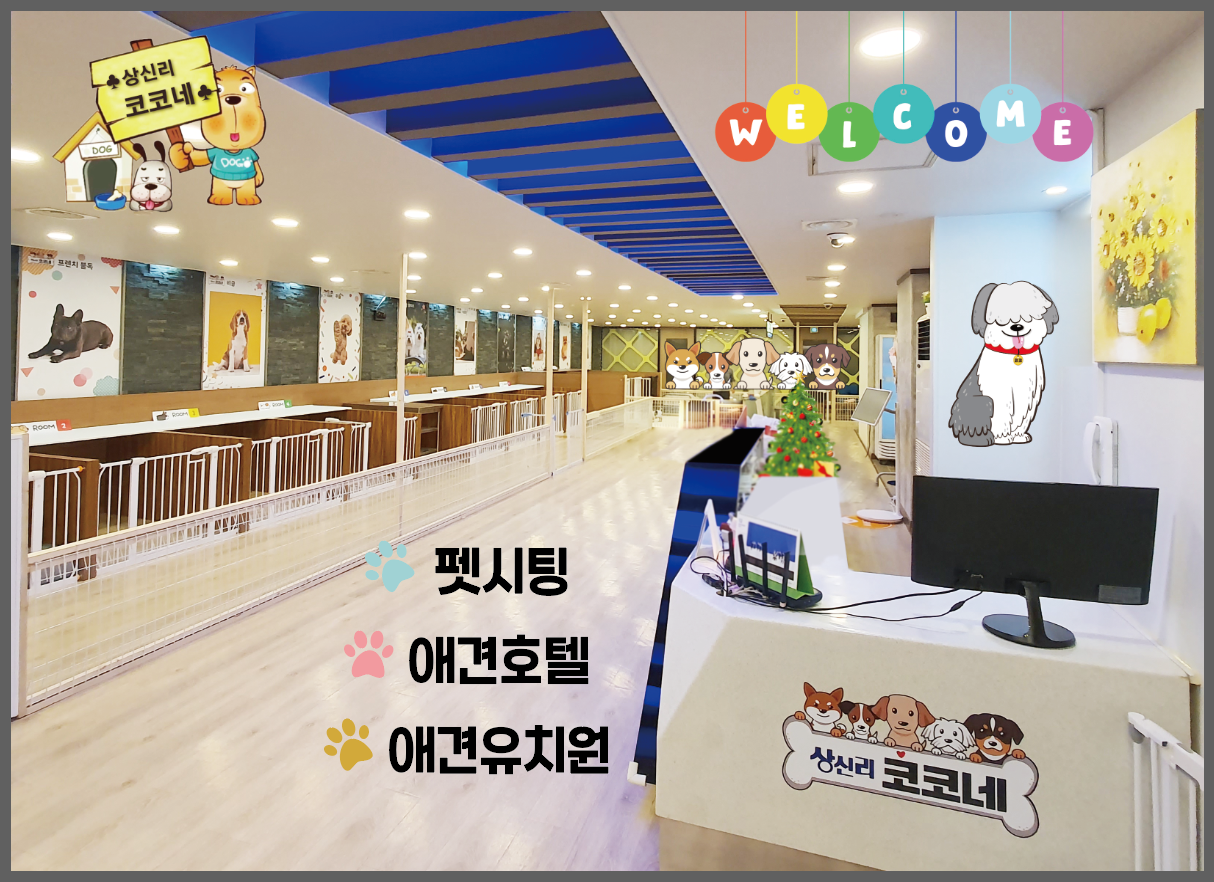 코코네 이미지