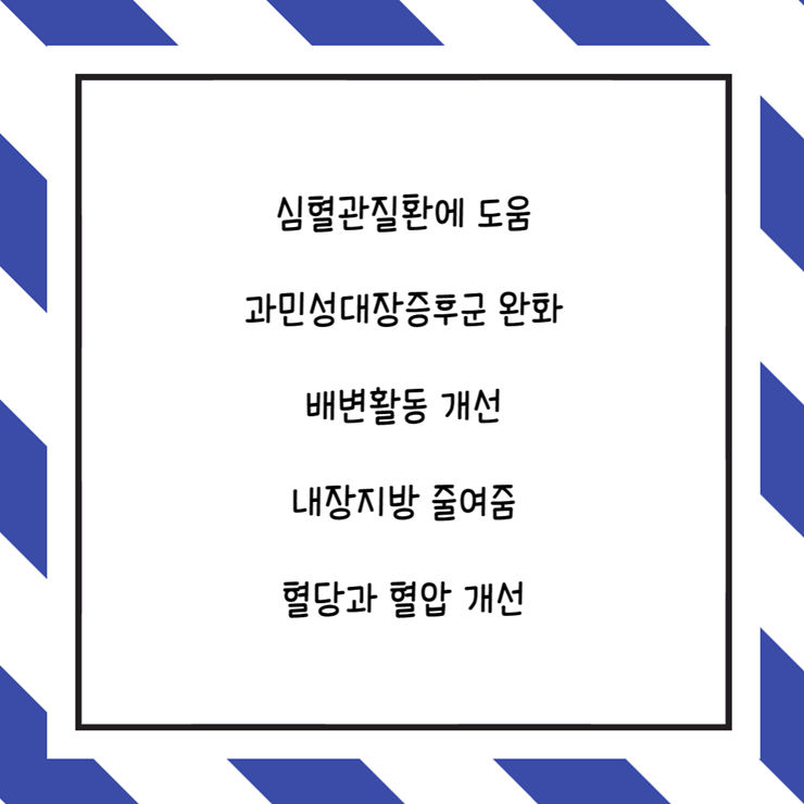  파의 종류와 부위별 특징, 사용 방법에 따른 영양섭취