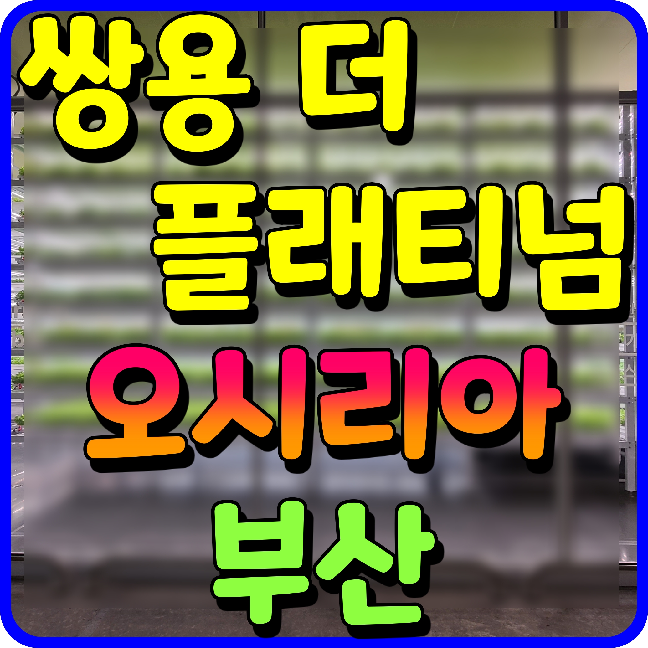  쌍용 더 플래티넘 오시리아 부산 기장 아파트 공급 소식