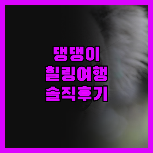 애런 스코틀랜드 도그 프렌들리 코티지