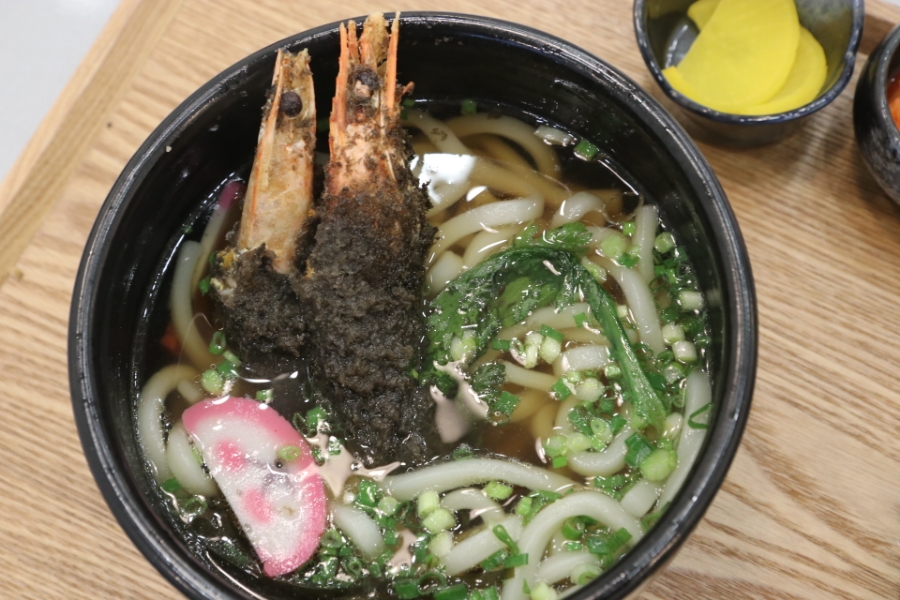 돔 종류이름 극찬했던 일산 5