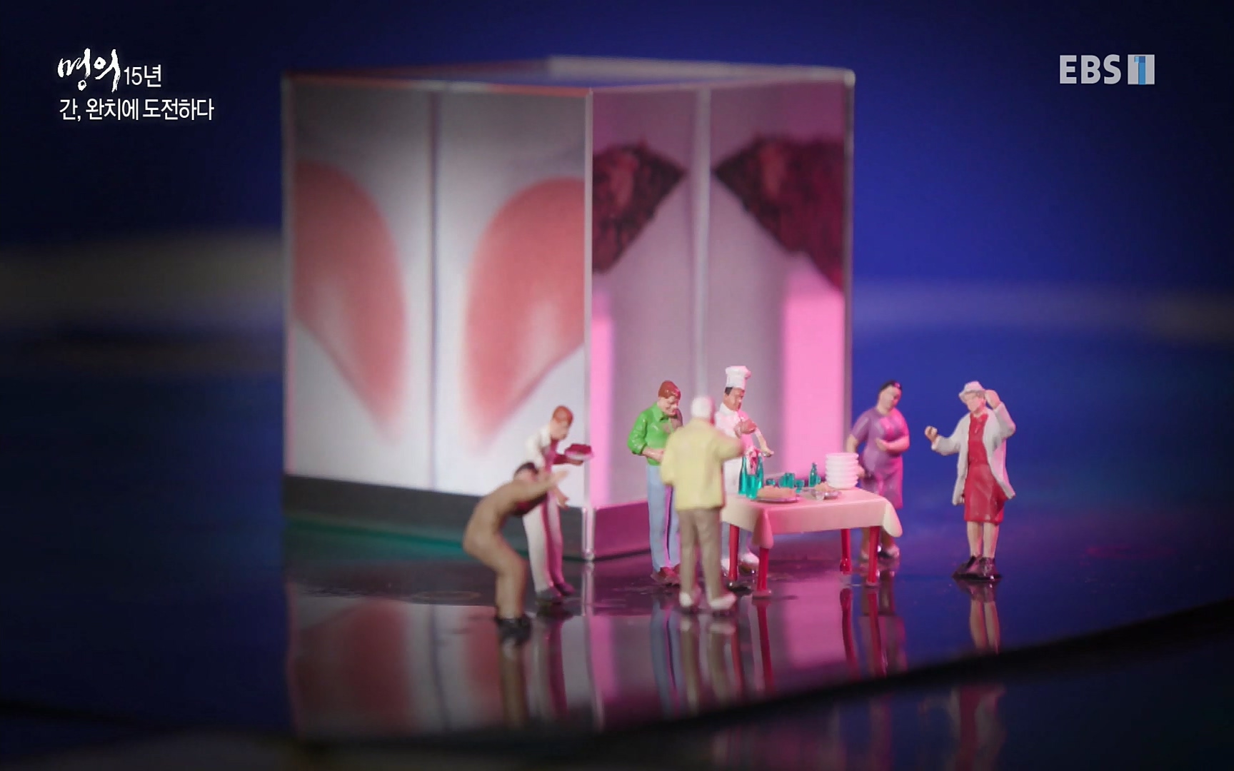 EBS 명의 헬스케어 - TV - 교육의 중심 EBS명의 15년 - 간, 완치에 도전하다.mp4_20220802_202415.993.jpg