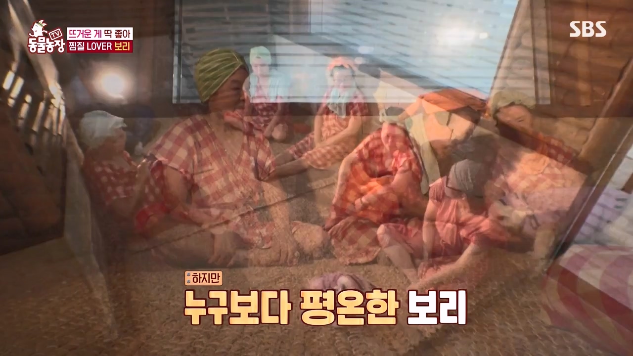 TV 동물농장.E1156.240129p-NEXT.mp4_20240128_191731.238.jpg