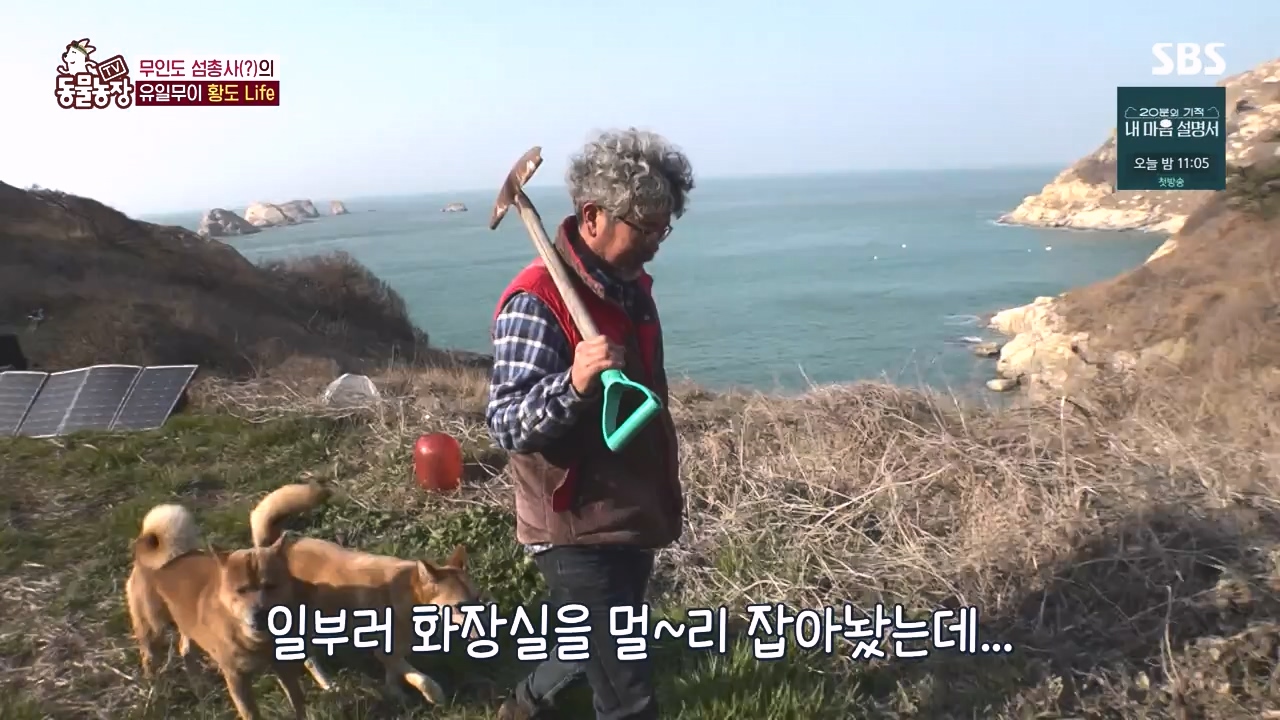 TV 동물농장.E1171.240513p-NEXT.mp4_20240512_163336.343.jpg