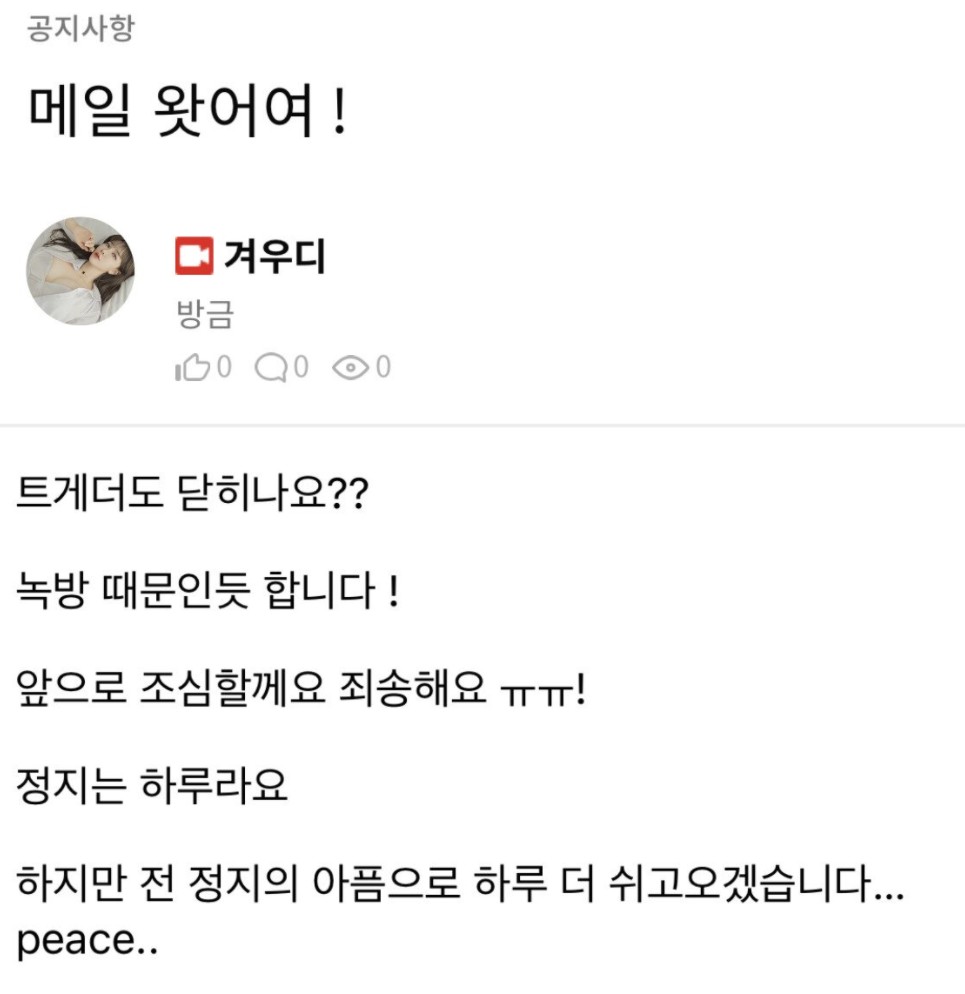 스트리슈