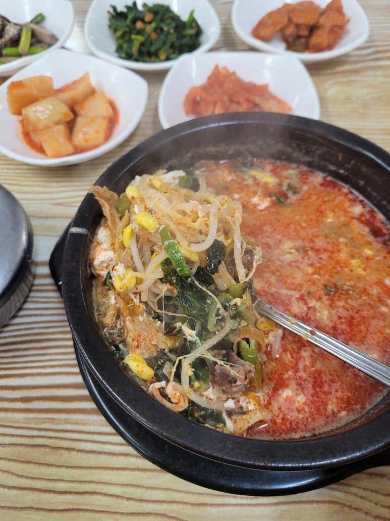 모이세 이미지