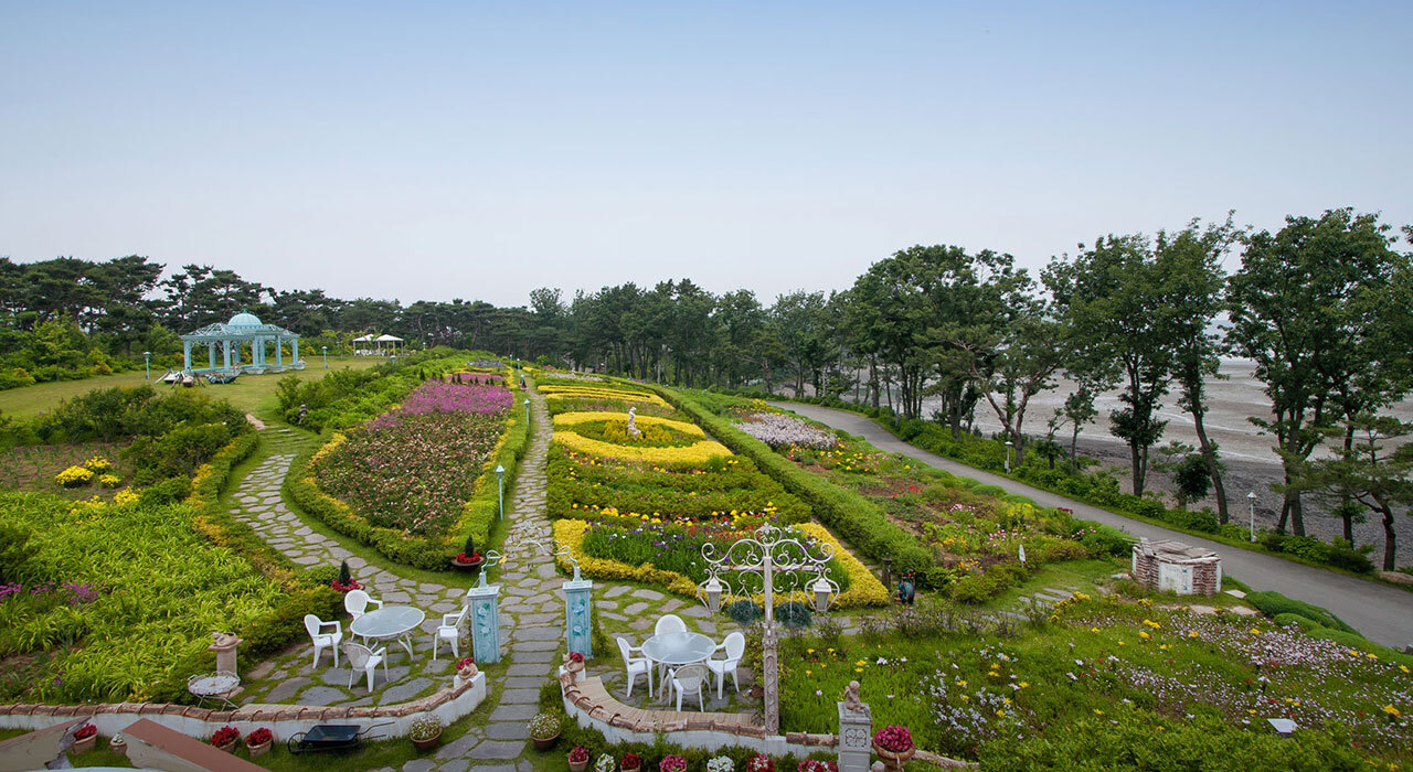 나문재 정원