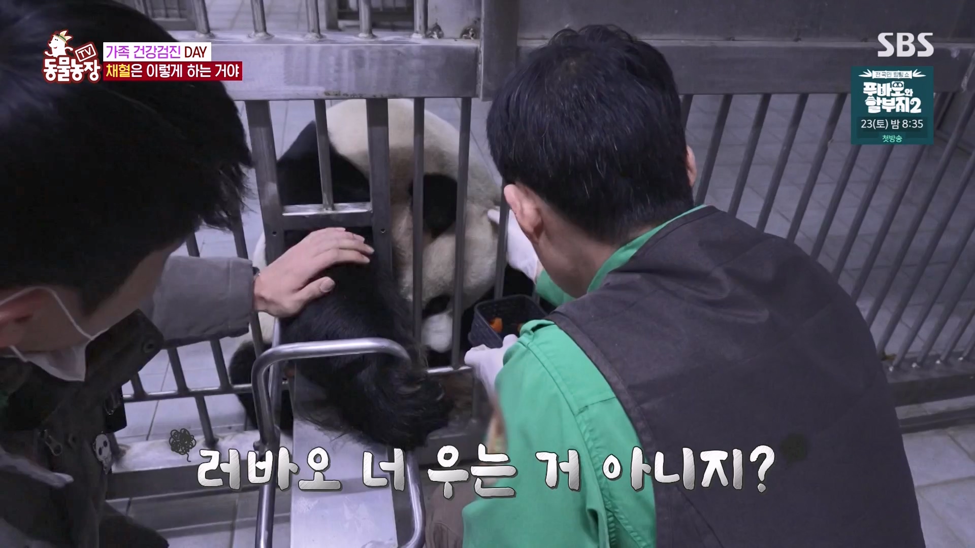 TV 동물농장.E1163.240317p-NEXT.mp4_20240317_171057.295.jpg