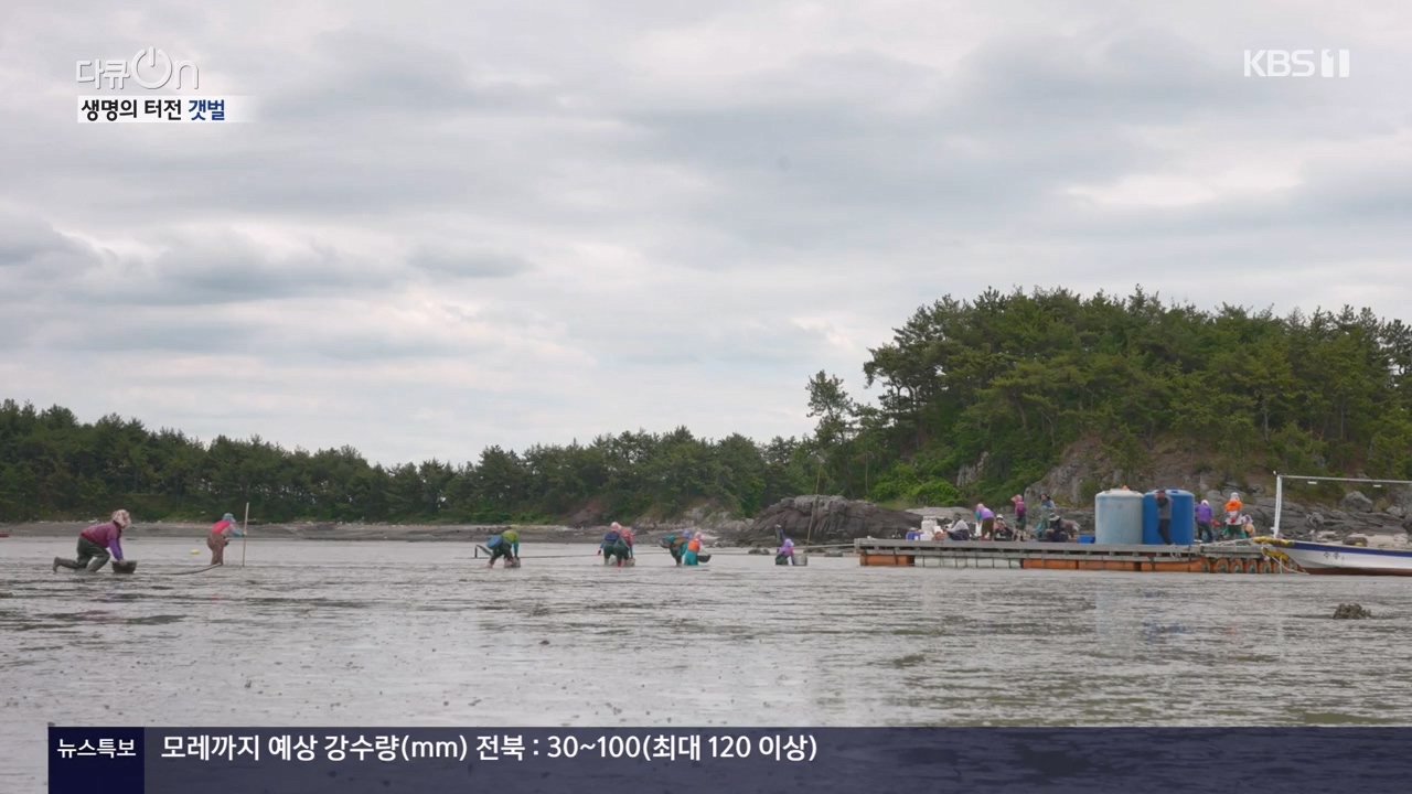 다큐 온.E206.230723p-NEXT.mp4_20230724_214218.176.jpg