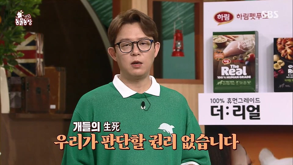 TV 동물농장.E1129.230716p.H264-F1RST.mp4_20230716_183647.950.jpg