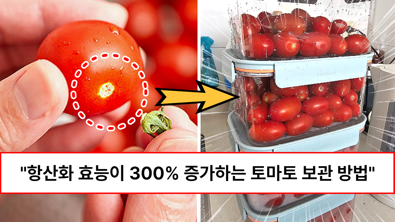 “냉장고에 넣지말고 이렇게 하세요” 항산화, 항암 효과가 300% 증가하는 토마토, 마늘, 감자 보관방법