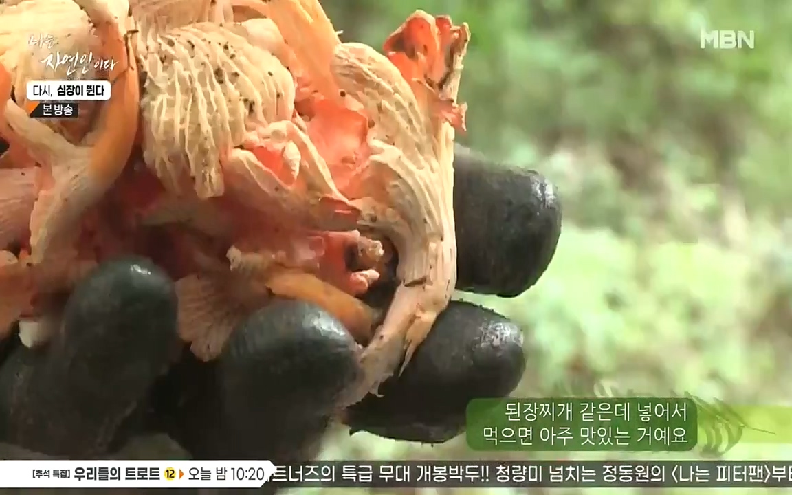 나는 자연인이다.E519.220915p-NEXT.mp4_20220915_194525.731.jpg