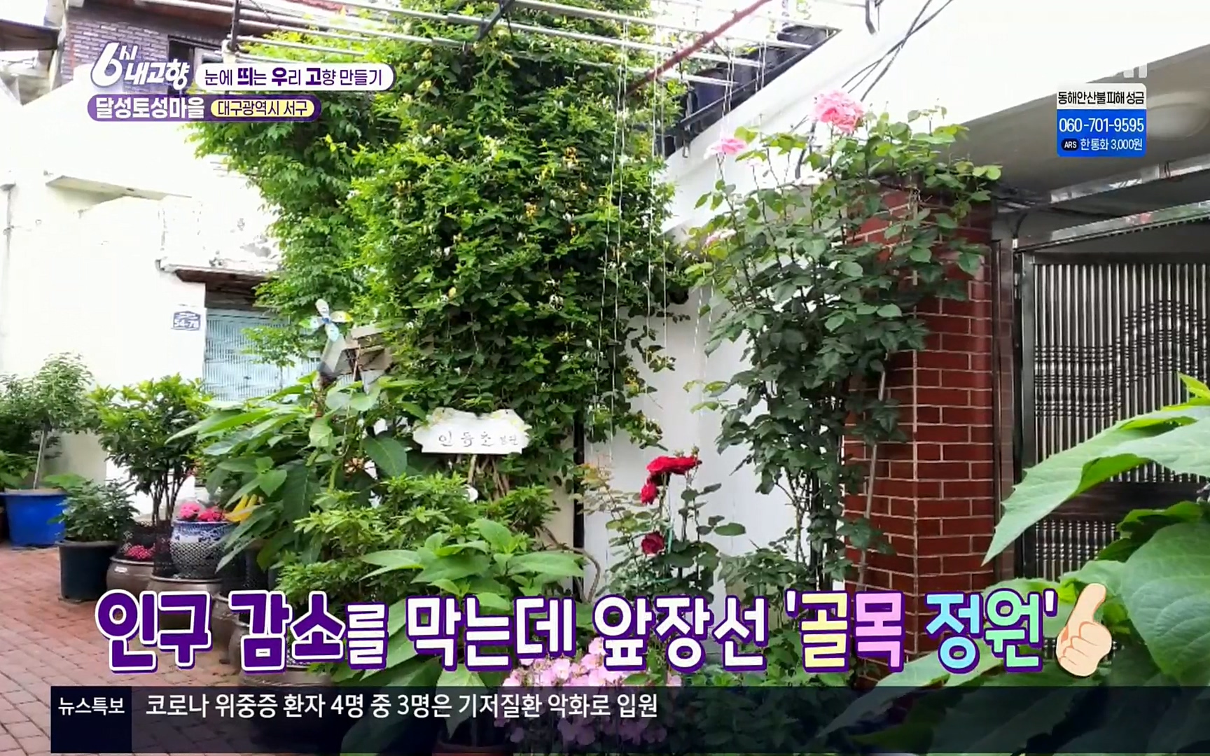 6시 내고향.E7496.220324p.H264-F1RST.mp4_20220328_175217.482.jpg