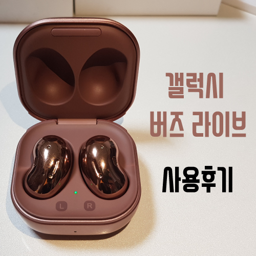  삼성 갤럭시 버즈 라이브 사용 후기 (미스틱 브론즈)