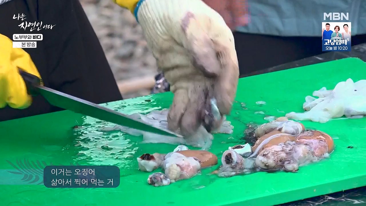 나는 자연인이다.E610.240620p-NEXT.mp4_20240620_194757.052.jpg