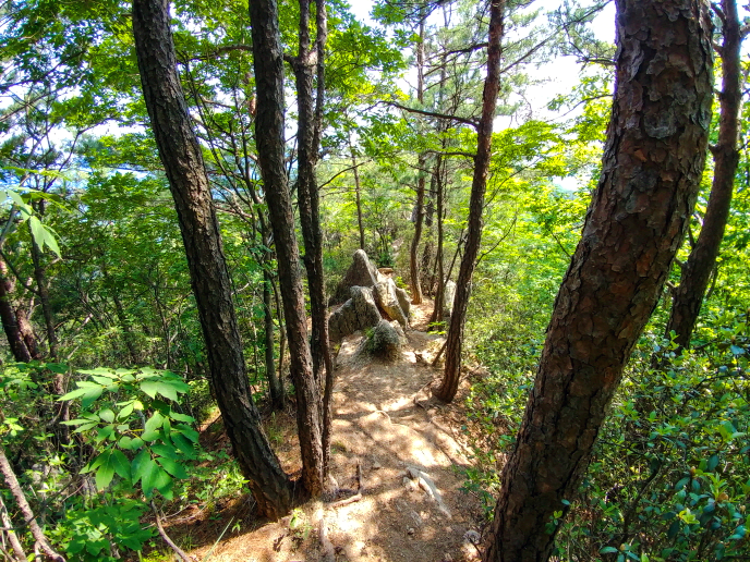 한국 명산 충북 단양 황정산 등산 mountain hiking