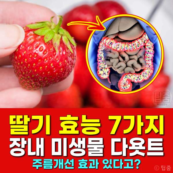 딸기 효능,장내 미생물 다이어트,천연 주름개선 화장품