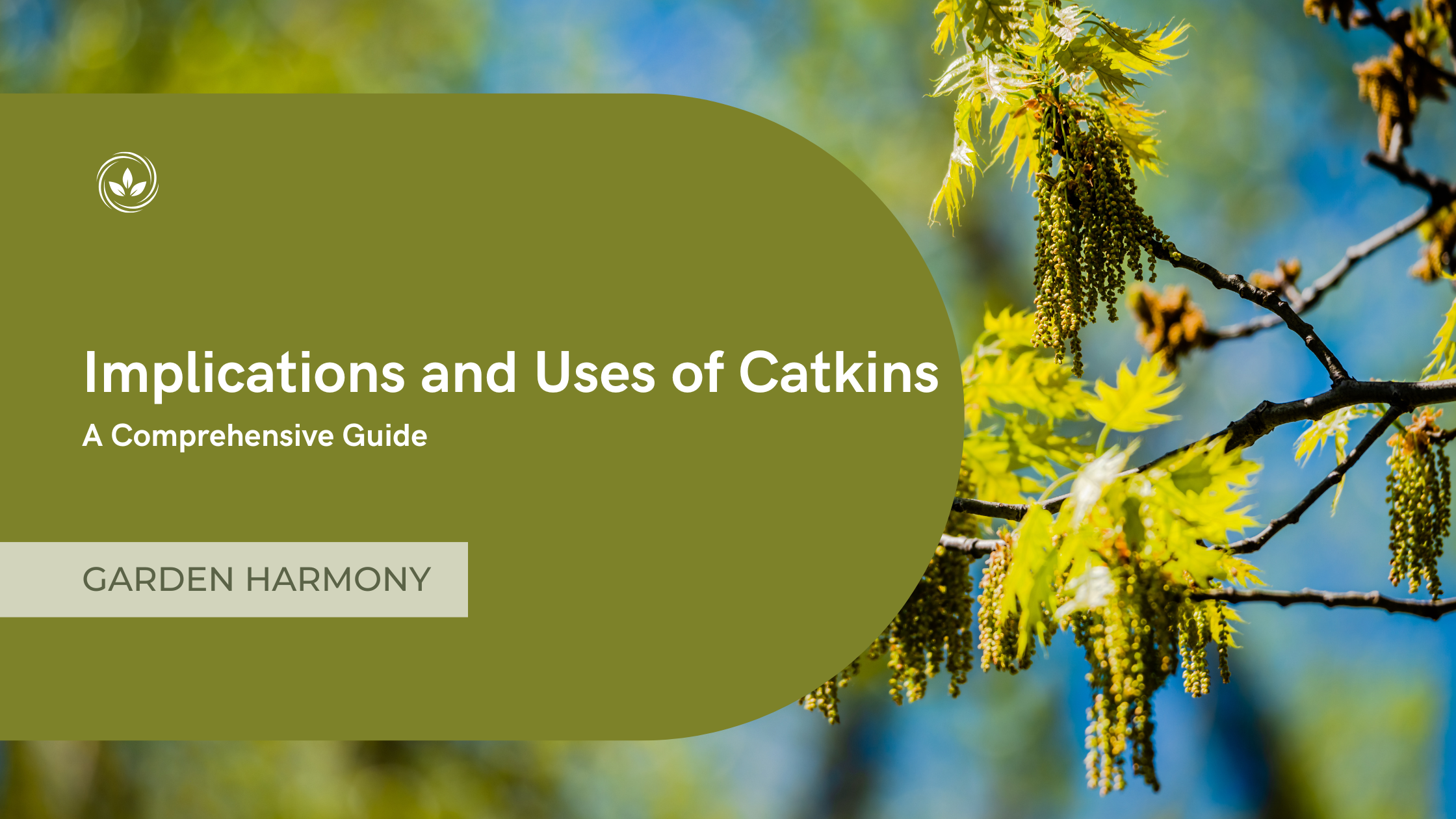 Implications and Uses of Catkins