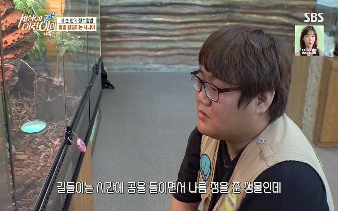 순간포착 세상에 이런일이.E1180.220518p-NEXT.mp4_20220518_181620.447.jpg