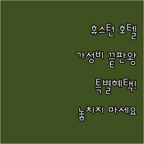 가성비 휴스턴 호텔 TOP 5.. 놓