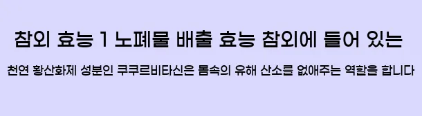  참외 효능 1 노폐물 배출 효능 참외에 들어 있는 천연 황산화제 성분인 쿠쿠르비타신은 몸속의 유해 산소를 없애주는 역할을 합니다