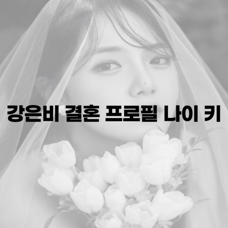 강은비 결혼 프로필 나이 키