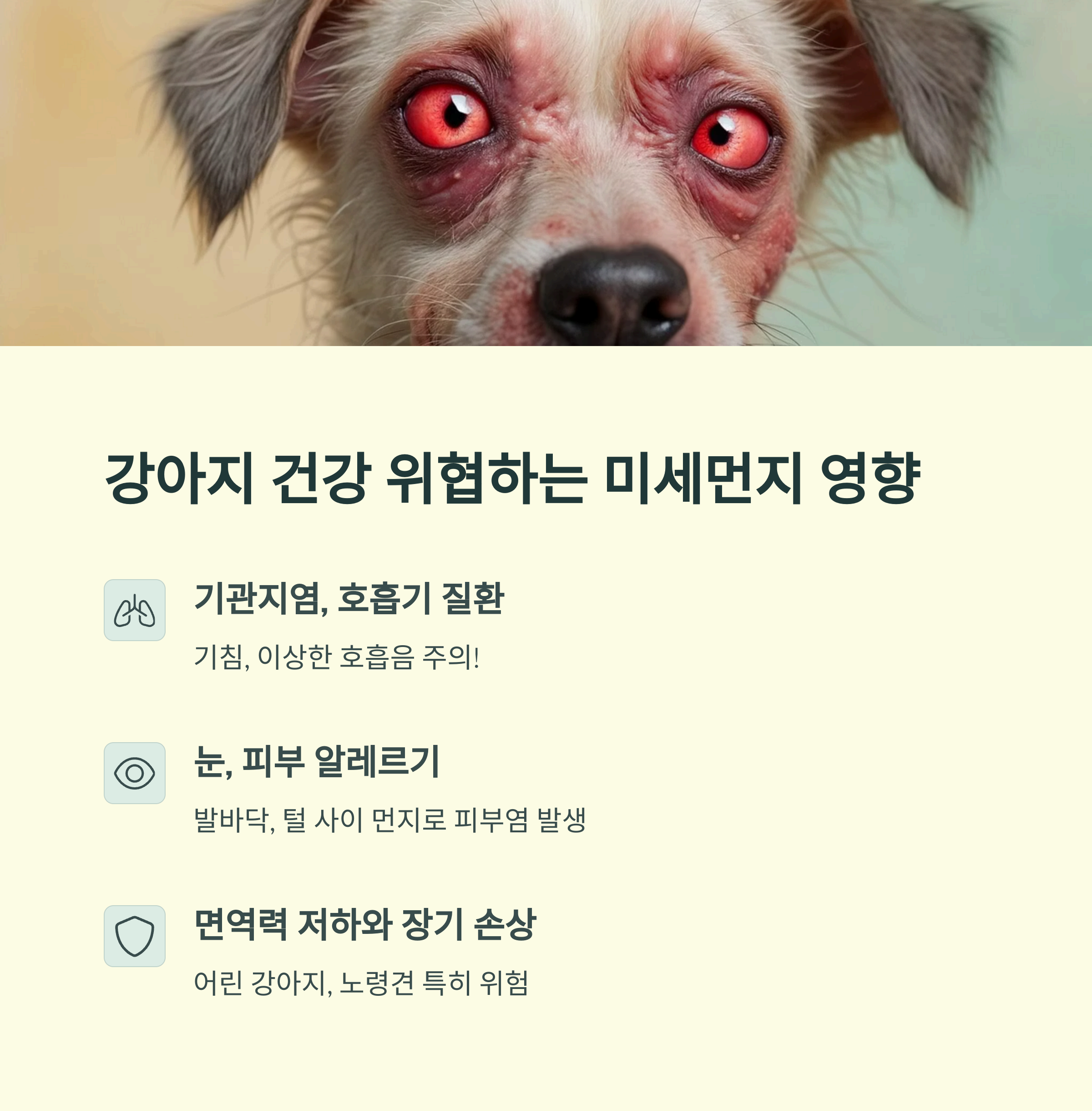 강아지 건강 위협하는 미세먼지 영향