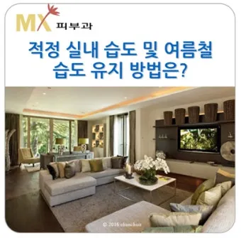 여름철 실내 적정 습도 완벽 관리 가이드_10