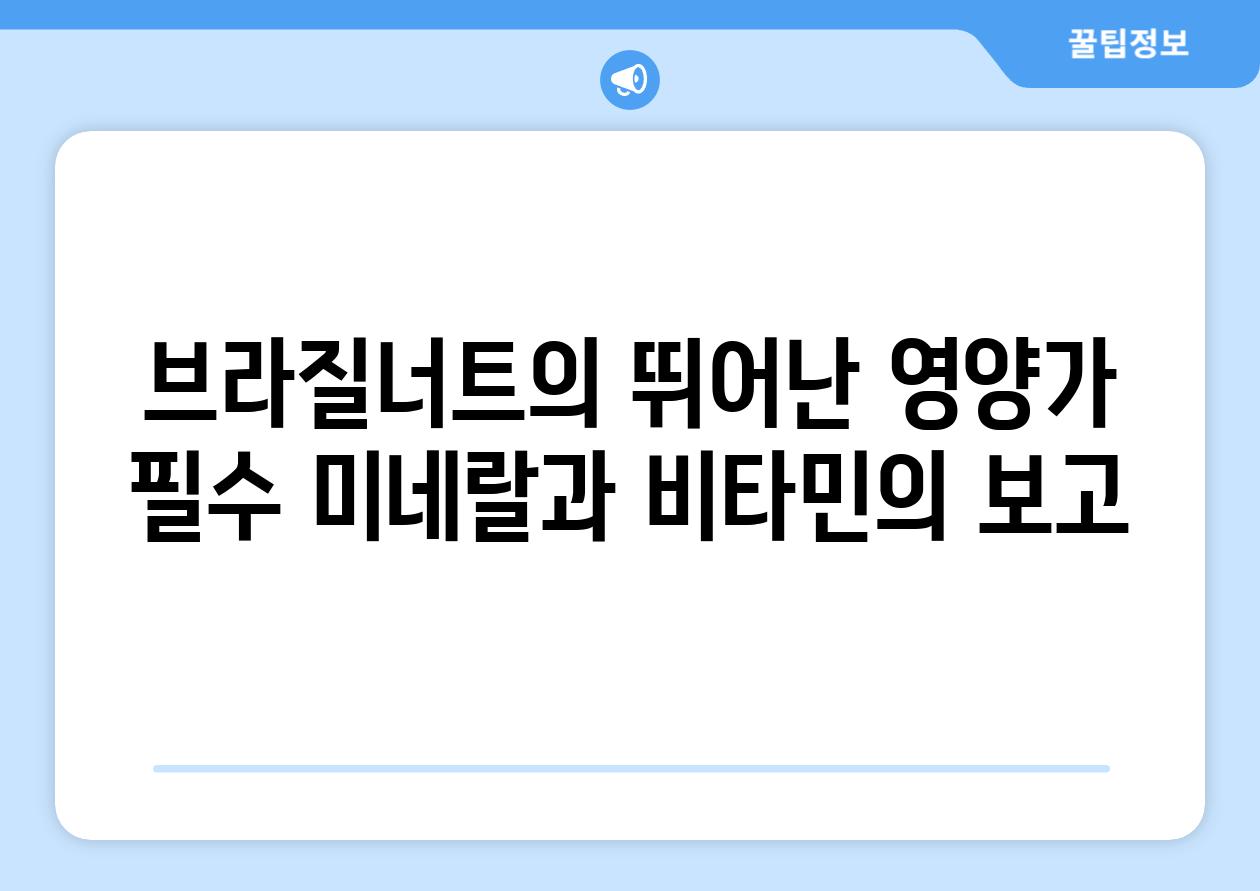 브라질너트의 뛰어난 영양가 필수 미네랄과 비타민의 보고