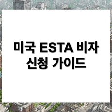 미국 ESTA 비자 신청 절차와 준비물 안내