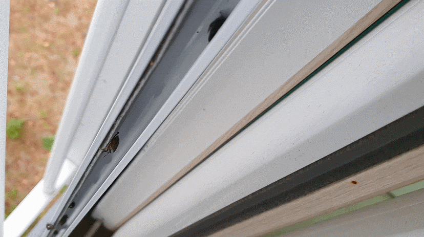 벌레 차단 창문틈 방충망 용인 아파트벌레 5
