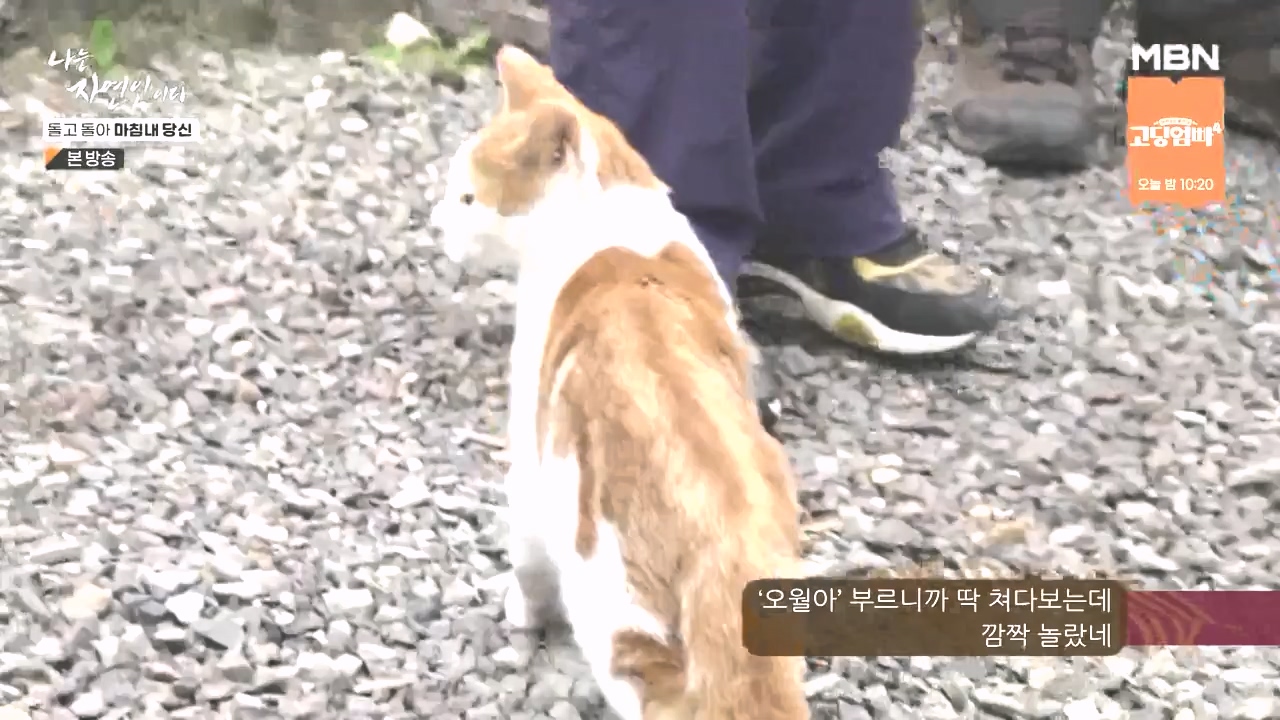 나는 자연인이다.E577.231026p-NEXT.mp4_20231026_200354.580.jpg