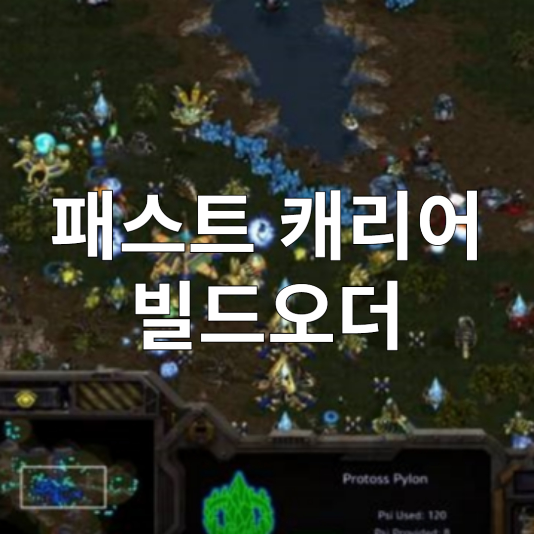 패스트 캐리어 빌드오더