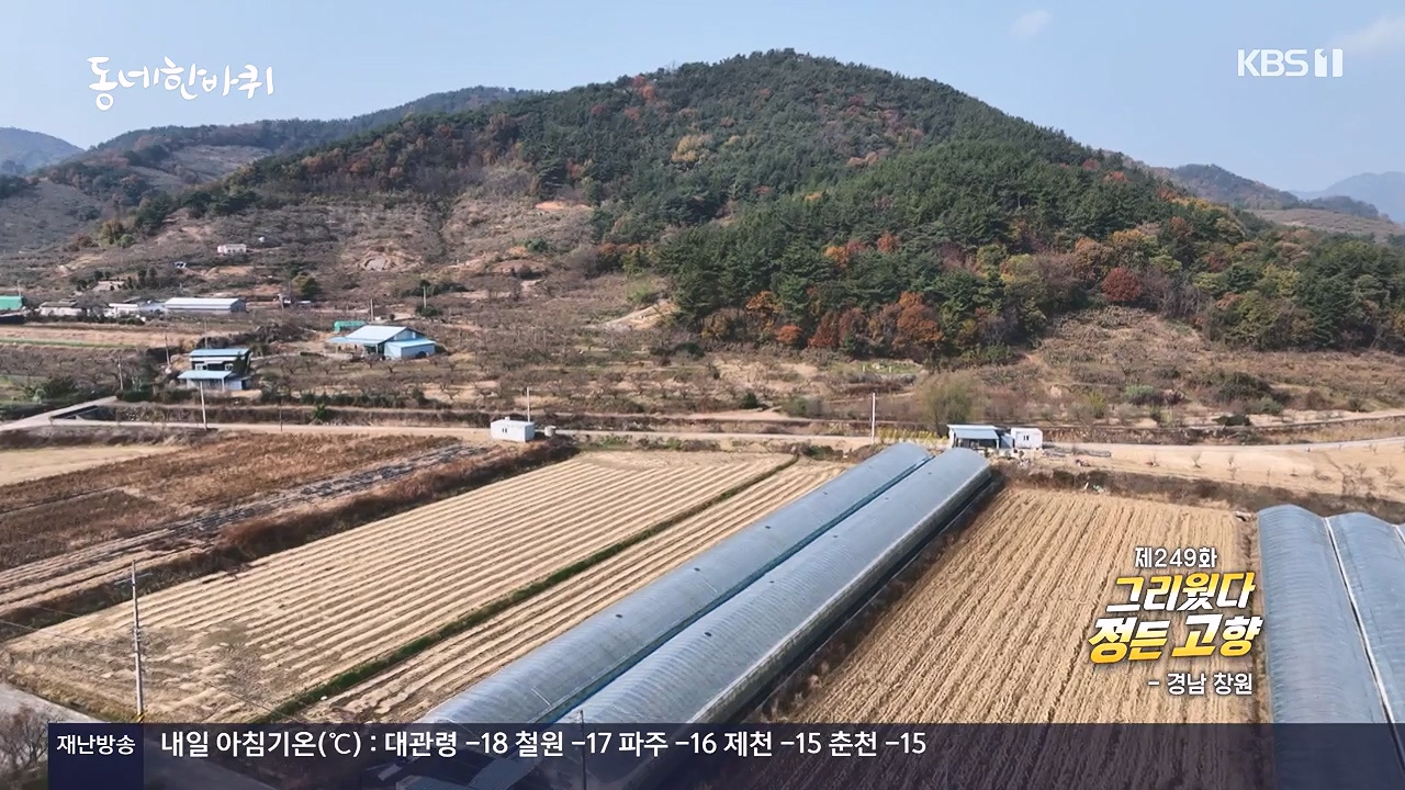 동네 한 바퀴.E252.231217p-NEXT.mp4_20231218_203112.634.jpg